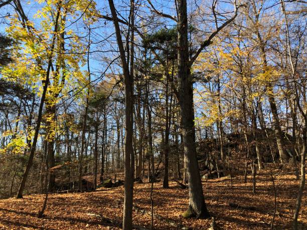 istock November at Blue Mountain Reservation in New York State. 2185253459