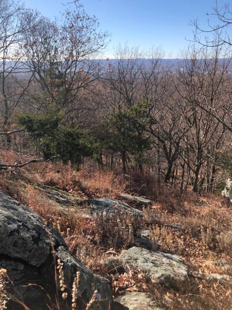 istock November at Blue Mountain Reservation in New York State. 2185253585