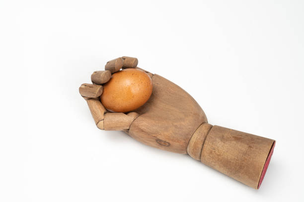 an egg in the palm of a wooden hand on a white background