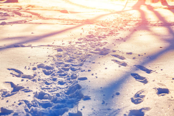 View of footprints in the snow during sunset. Winter lanscape.