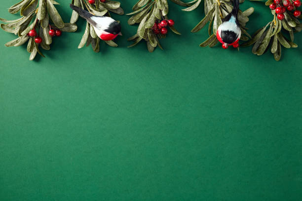 Christmas holiday background with two decorative birds perched on green foliage with red berries, set against a vibrant green backdrop. Ideal for Christmas-themed designs and seasonal greetings