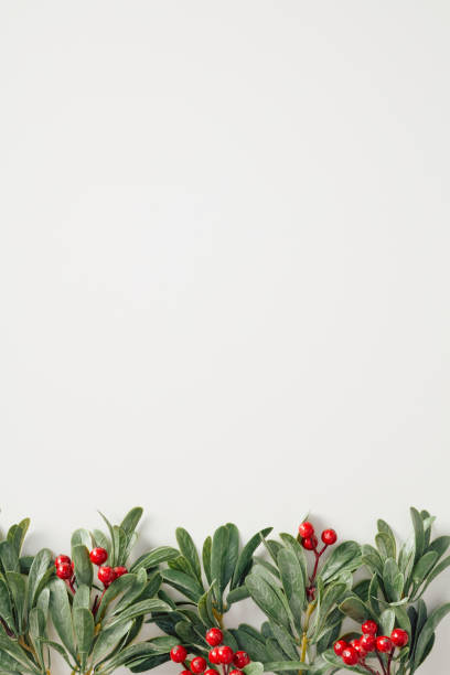 istock Christmas frame border of holly branches with red berries on white background 2185258519