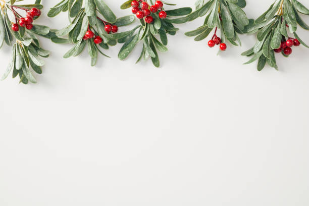istock Christmas holiday background featuring green holly branches with red berries arranged along the top edge on a white surface. Ideal for Christmas and winter-themed designs. 2185258539
