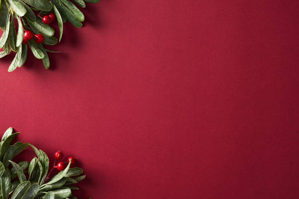 istock Christmas branches with red berries on rich burgundy background. Flat lay, top view, copy space 2185258634