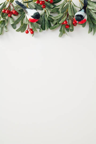 istock Christmas border of holly branches with red berries isolated on white background 2185258780
