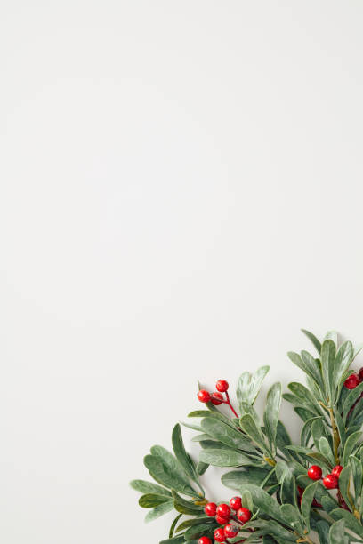 istock Christmas vertical background with sharpleaf branches and red berries in the corner 2185258797