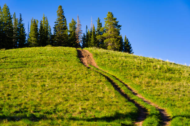 Doubletrack Dirt Road Climbing Up Steep Mountain Ridge - Road cutting through open backcountry meadow up to tree topped mountain ridge.