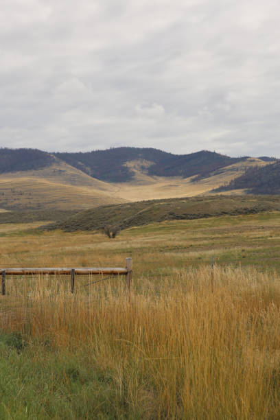 high mountains with snowy peaks, summer, valley, field, haystacks, Arshan Tunkinsky valley Irkutsk oblast