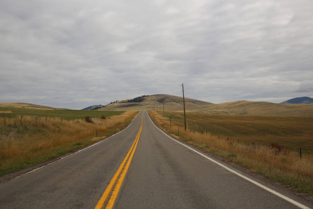 istock Paved empty road between wheat plains in Montana 2185261079