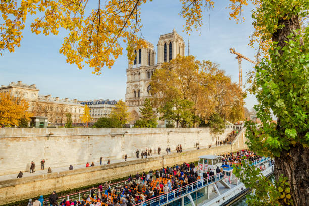 Reconstruction of Notre Dame de Paris, in the fall, November 2024