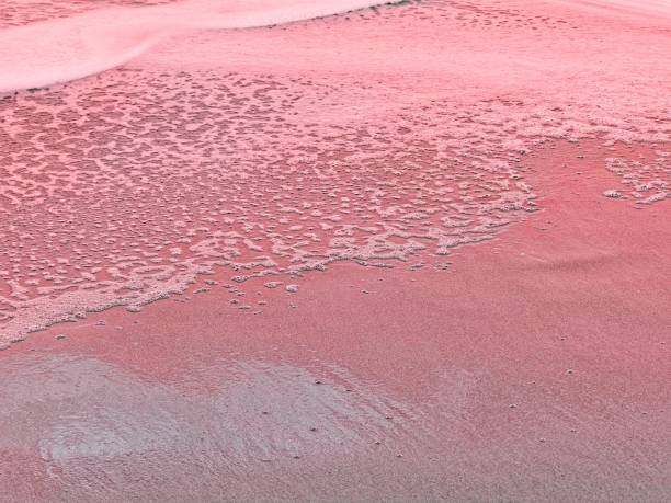 Warm red light shimmers over the Atlantic ocean of the Florida east coast, near Cape Canaveral. Glowing pink light reflected off the water as an ocean maritime abstract with room for copy.