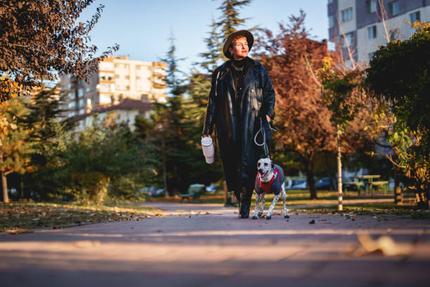 Young woman is strolling through the city with her dog.
