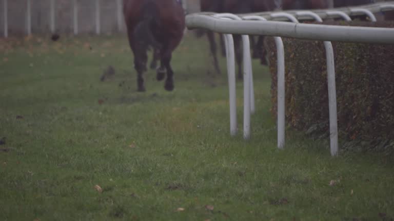 Slow-motion of horse hooves breaking through grass on a foggy racetrack. Turf flies as they race during an overcast autumn day.