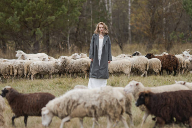 istock Blonde woman in coat in field with sheep 2185280521