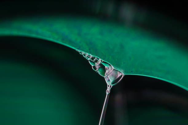 Fantastic water form, green on black, colourful abstract, surrealistic art, lines of light