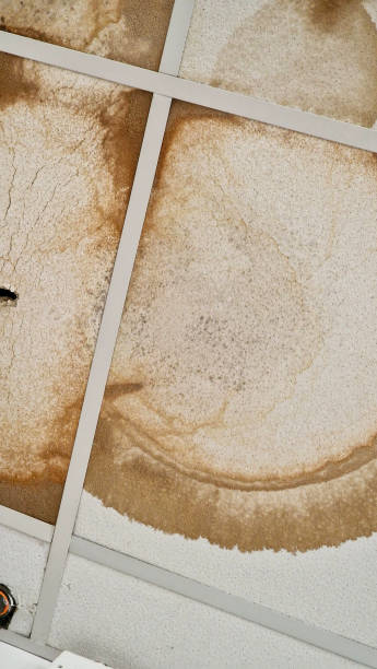 istock Water damaged ceiling tiles with brown marks 2185284400