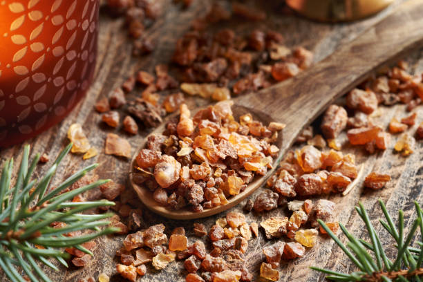 istock Myrrh resin on a spoon  - ingredient for essential oils production 2185287184