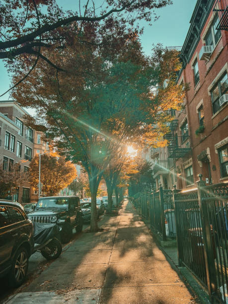 istock Fall sun in NYC street 2185287303