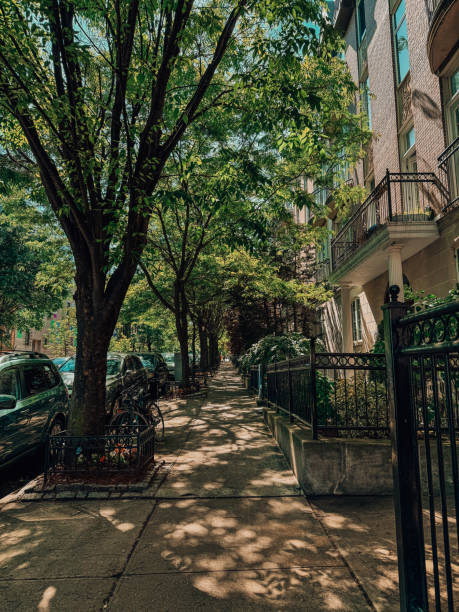 istock Summer NYC street 2185287312