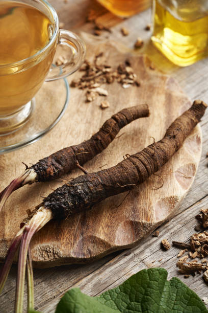 istock Fresh whole burdock root with a cup of herbal tea 2185287656