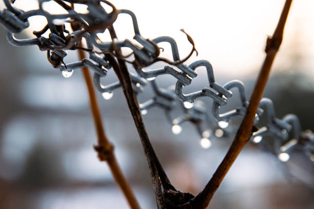 Ice hangs from a roof on a cold, winter evening in Colorado at sunset.