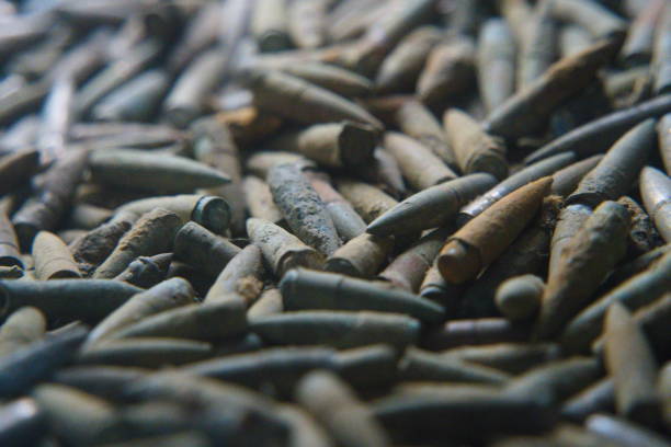 istock Echoes of War: Close-Up of WWI Battle-Worn Bullets 2185287883