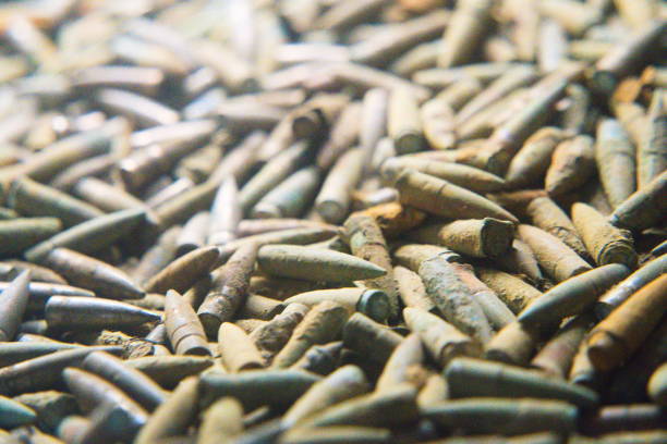 Echoes of War: Close-Up of WWI Battle-Worn Bullets