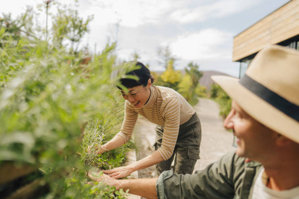 istock Shared joy in gardening: friends planting herbs together 2185288223