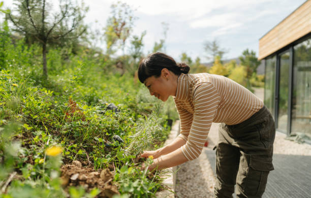 Woman planting a sapling in a garden