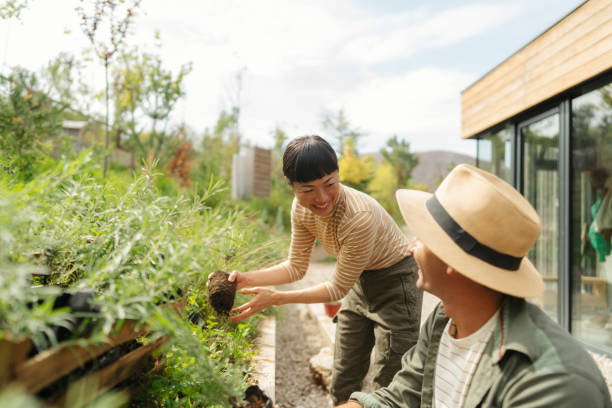 istock Shared joy in gardening: friends planting herbs together 2185288235
