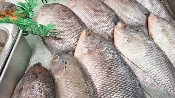 istock Raw of Fish in Supermarket Display. 2185295216