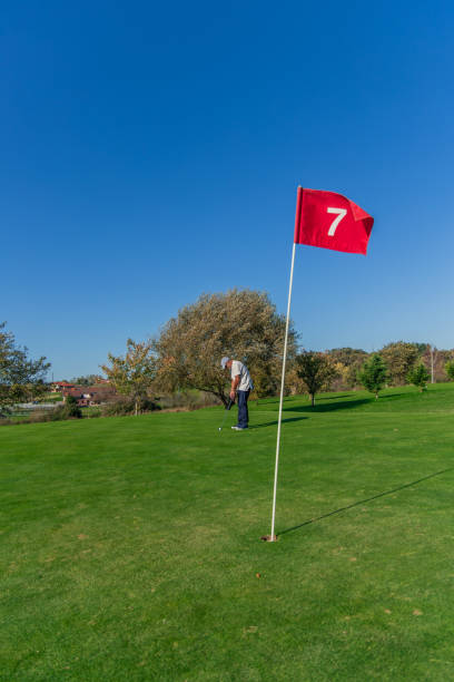 istock vertical senior golfer aiming putt toward flag on the green 2185295265