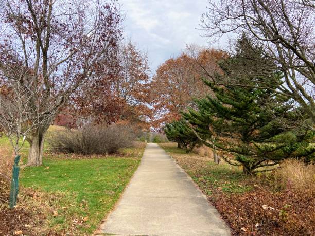 istock Fantasy Forest in Battle Creek, Michigan 2185296306