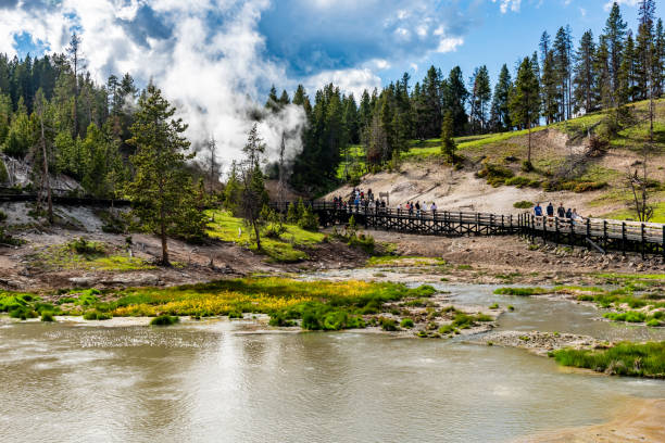 Black Dragon's Caldron view in Yellowstone National Park, Wyoming, USA Black Dragon's Caldron view in Yellowstone National Park, Wyoming, USA. mud volcano yellowstone stock pictures, royalty-free photos & images