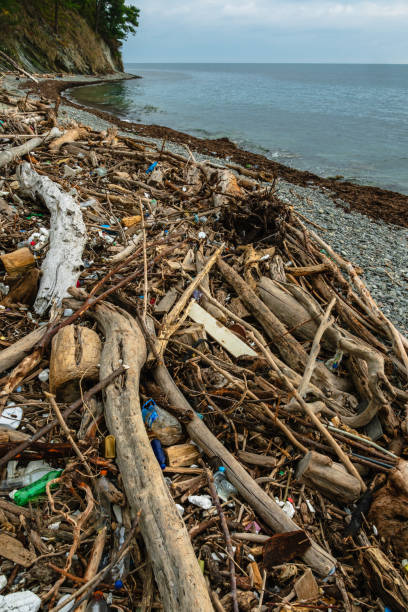 istock Wooden and plastic trash thrown on the seashore by a storm 2185301077