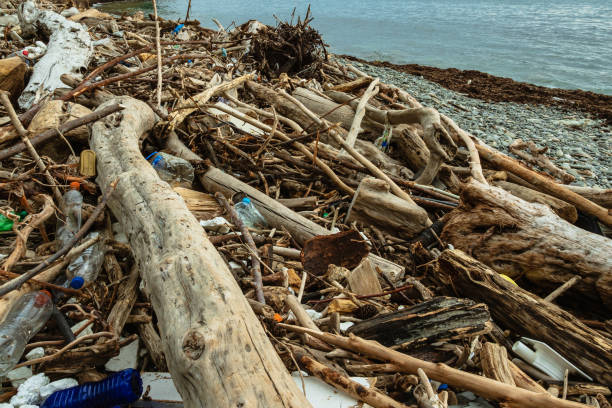 istock Plastic bottles, logs and other debris on the rocky seashore 2185301083