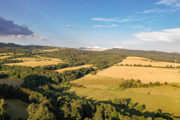 A breathtaking aerial view of the serene countryside near Sarny, Lower Silesia, showcasing vast golden fields, lush forests, and rolling hills under a vibrant blue sky.