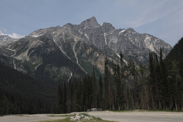 Canadian Rockies, Rogers Pass, British Columbia, Canada