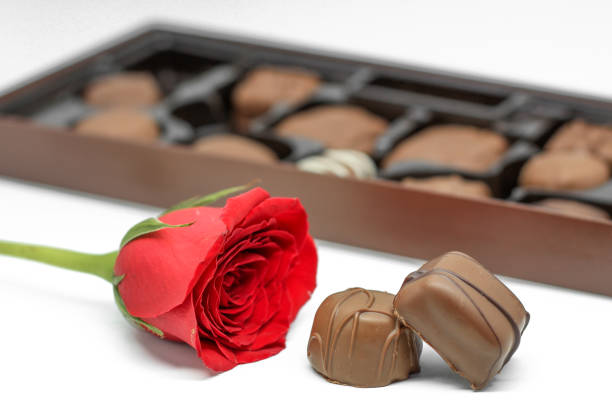 Rose and chocolates closeup on white background, valentine's day