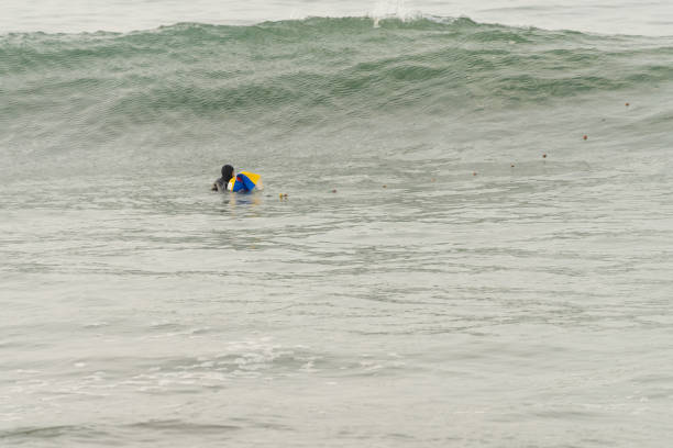 Wide view photo with copy space of a fisherman in wetsuit fishing inside the water using net