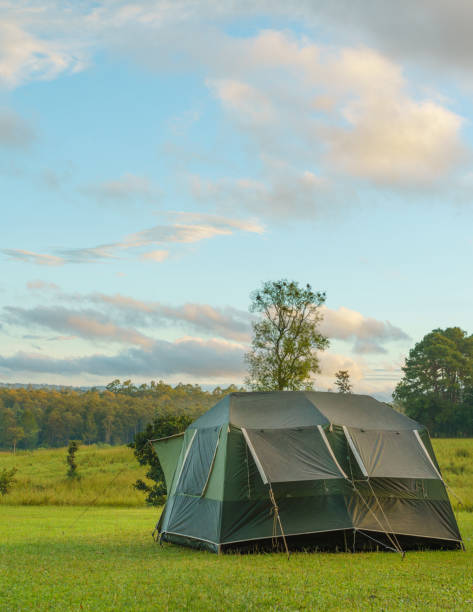 istock Dome tent camping at forest camping site 2185316854