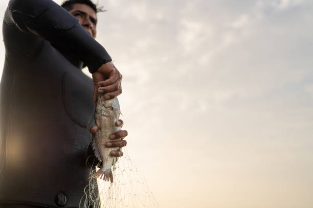 istock Low angle view of a fisherman collecting fish from net 2185317329