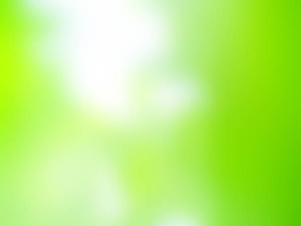 istock Green nature background bokeh leaf nature summer springtime blur sunlight natural fresh foliage environment ecosystem zero carbon envergy change backdrop, mockup product aesthetic beauty organic. 2185326798