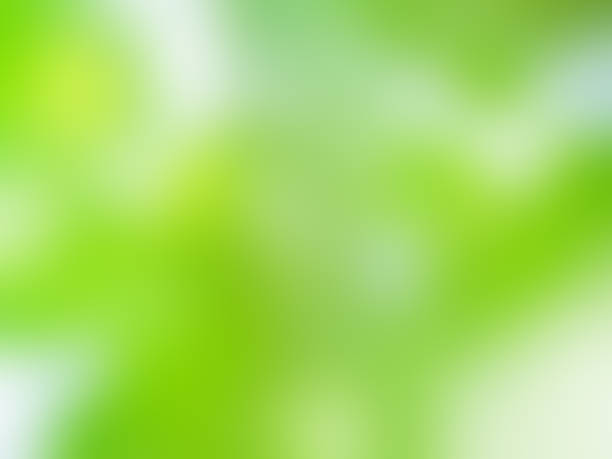 istock Green nature background bokeh leaf nature summer springtime blur sunlight natural fresh foliage environment ecosystem zero carbon envergy change backdrop, mockup product aesthetic beauty organic. 2185326799