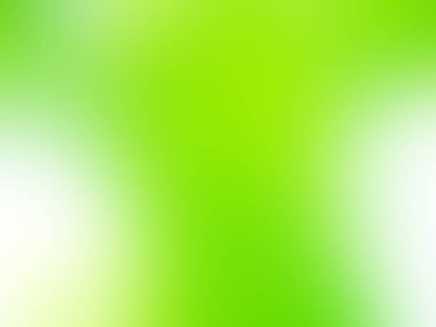 istock Green nature background bokeh leaf nature summer springtime blur sunlight natural fresh foliage environment ecosystem zero carbon envergy change backdrop, mockup product aesthetic beauty organic. 2185326803