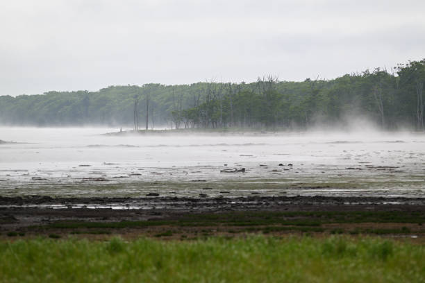Fog in Notsuke Bay, Hokkaido.