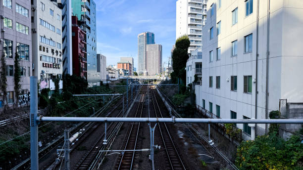 istock The beautiful views in Tokyo 2185327278