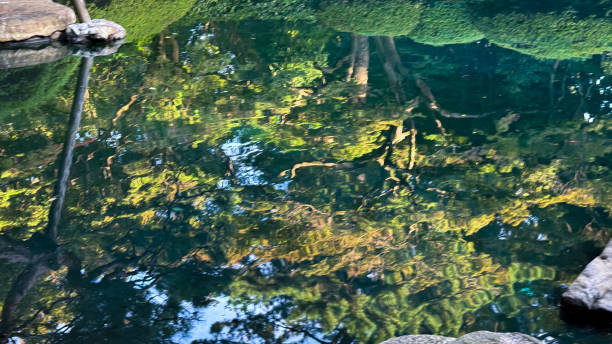 istock The beautiful views in Tokyo 2185327358
