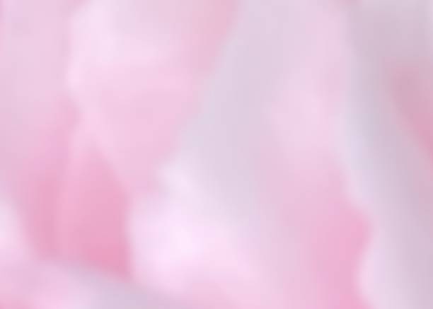 istock Pink and white for love, romantic, cute background 2185327952