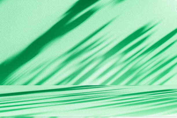 istock Studio style background wall decoration presentation uses white and green tones. with shadows cast from a nearby window, concept creating a decorative 2185329163